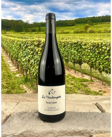 Sancerre Rouge La Vendangette