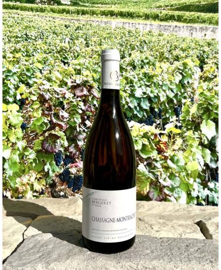 Chassagne-Montrachet Blanc